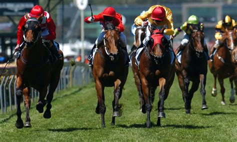 Mr Green Horse Racing .
